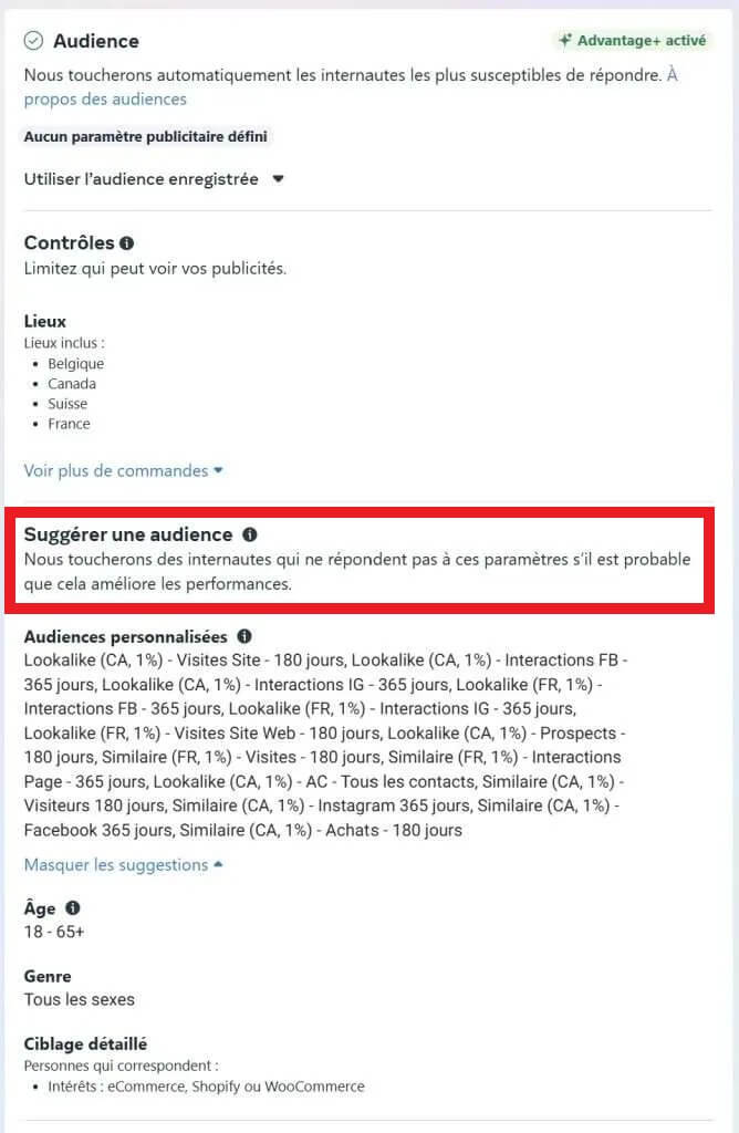 Meta Audience Advantage